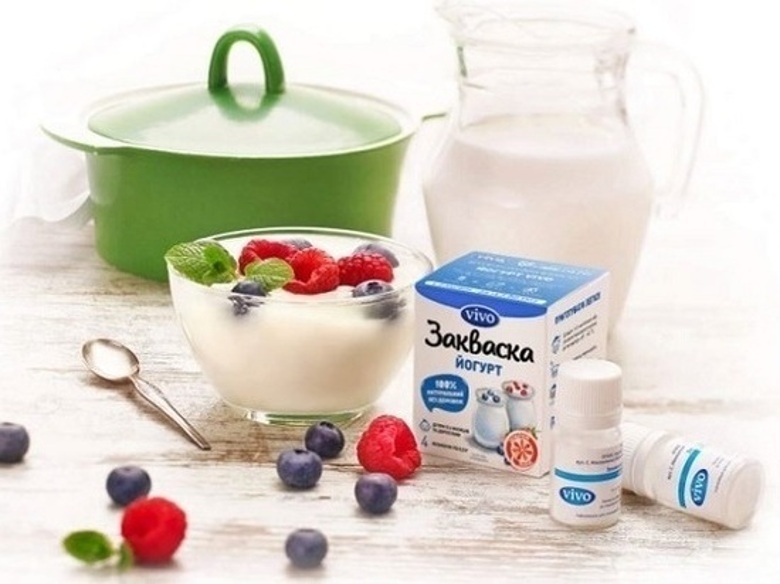 Закваски и пробиотики — верные помощники организма на пути к здоровью