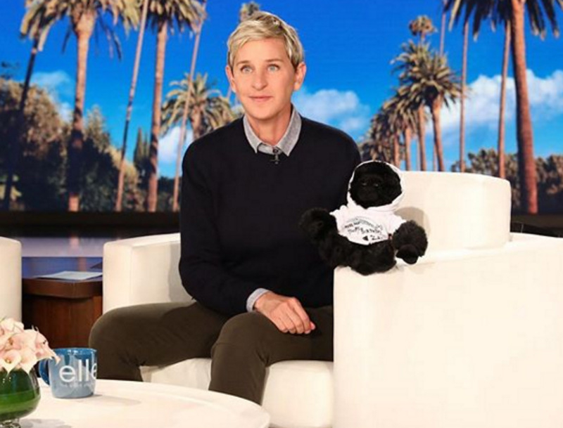 Теперь у Эллен Дедженерес куча премий и собственное шоу, а начинала она с выступлений в кофейнях