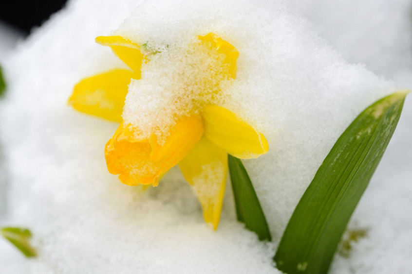 Наступает астрологическая весна