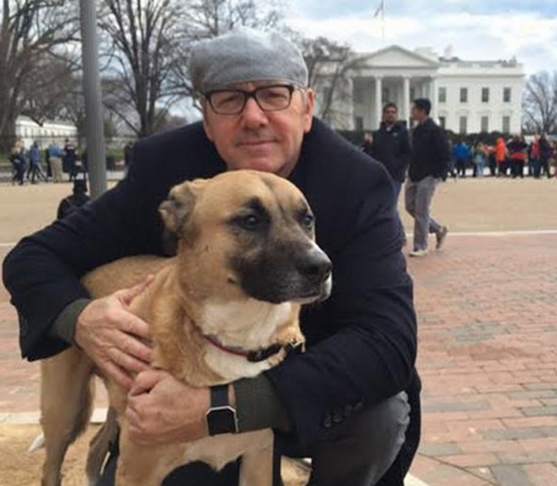 "Просто обожаю собак и не представляю своей жизни без них", - признается актер