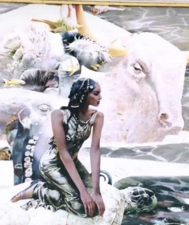 Двойник на стене