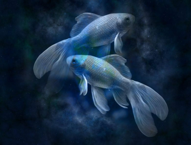 На этой неделе Солнце вошло в Рыбы