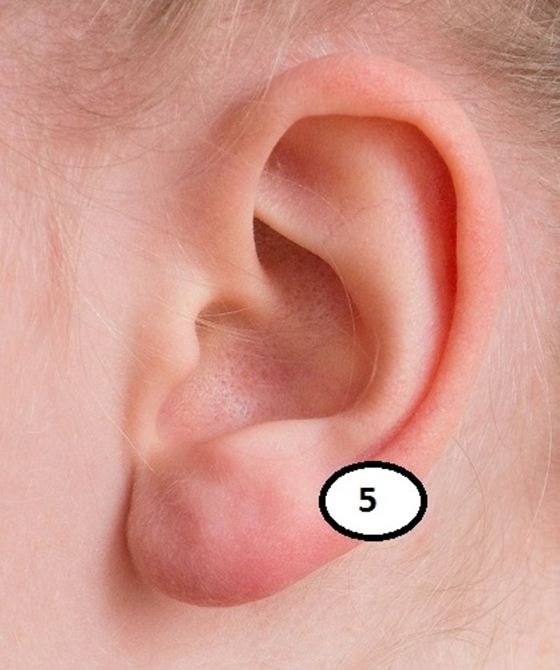 Пищеварение