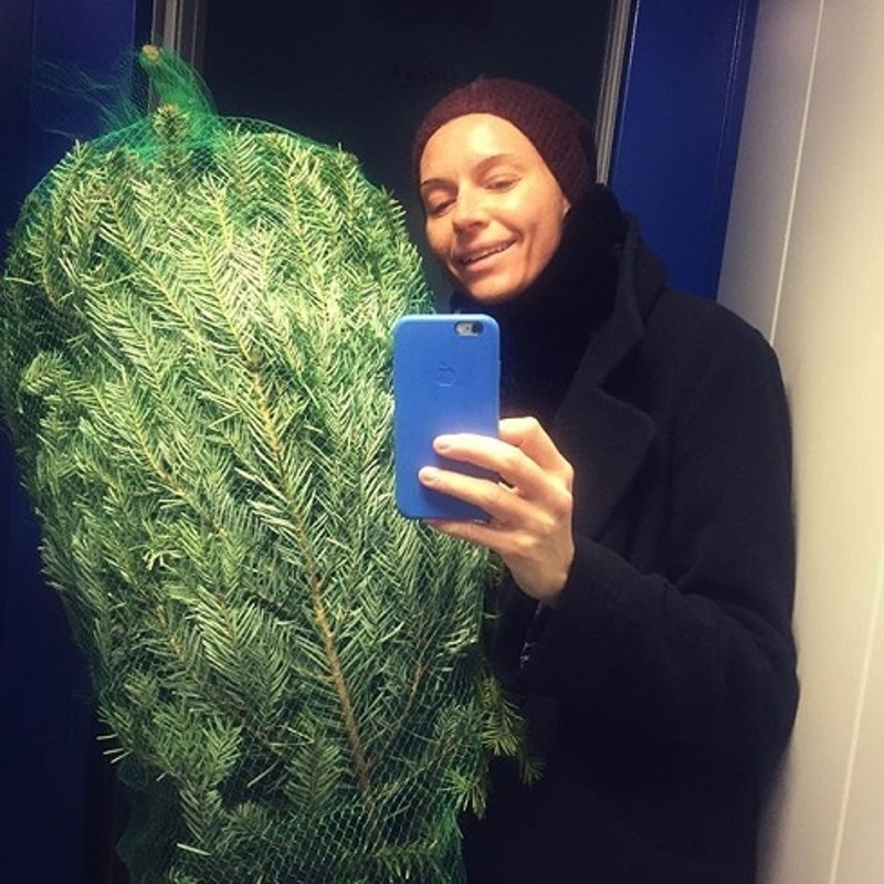 Актриса похвасталась елкой