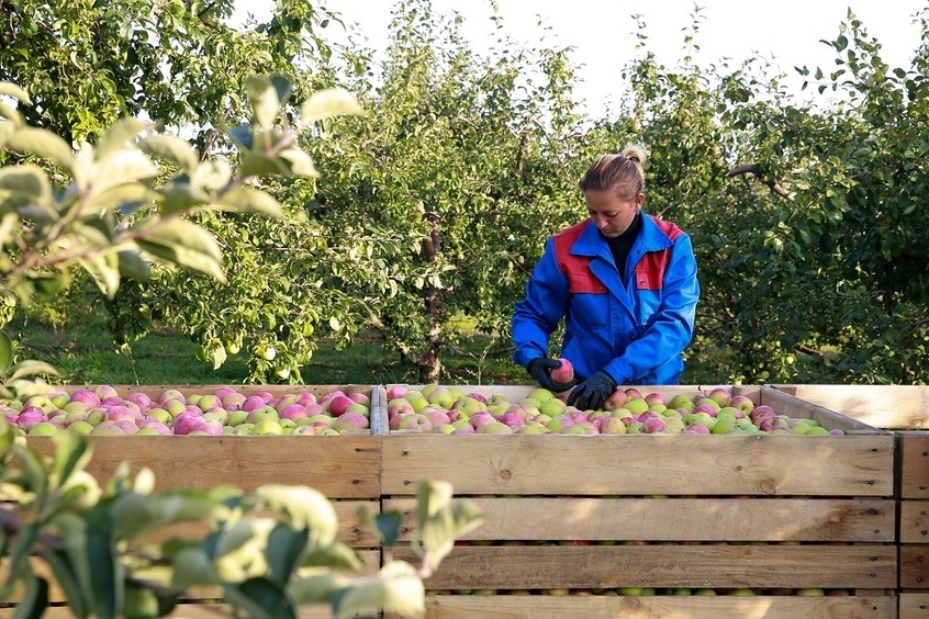 Детский сок: особенности производства