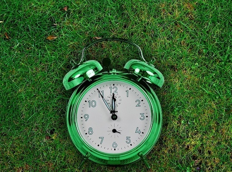 Пусть с утра поют птицы