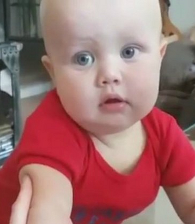 Сын Виторгана и Собчак