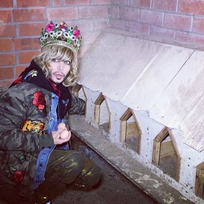 Куриный "Дом-2"