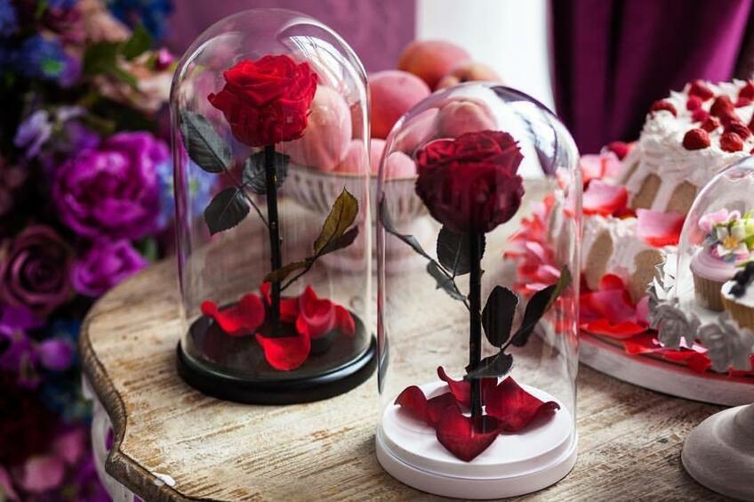 Поиграем в красавицу и чудовище? Цветы, которые живут 5 лет