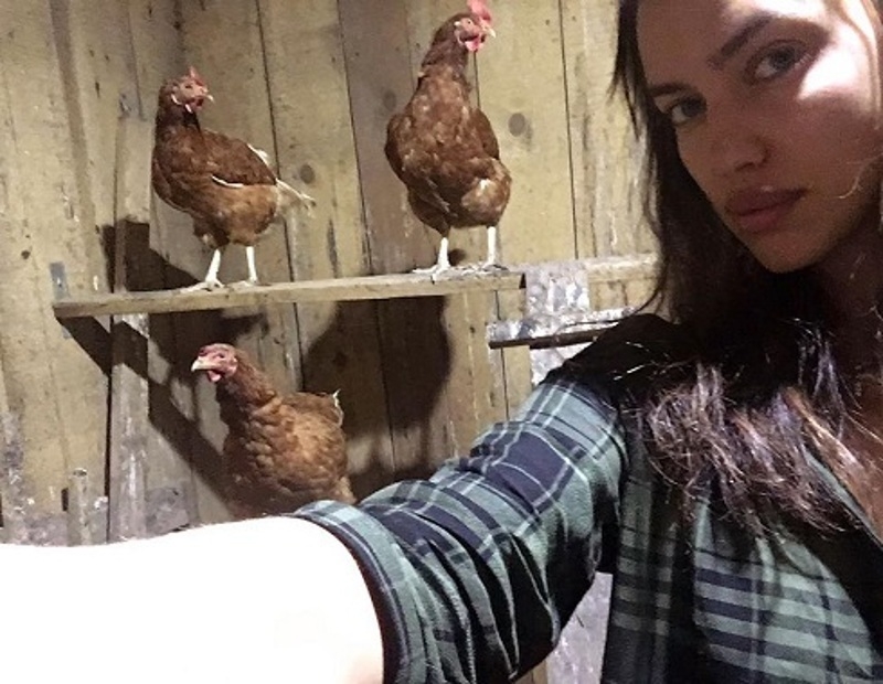 Селфи в курятнике