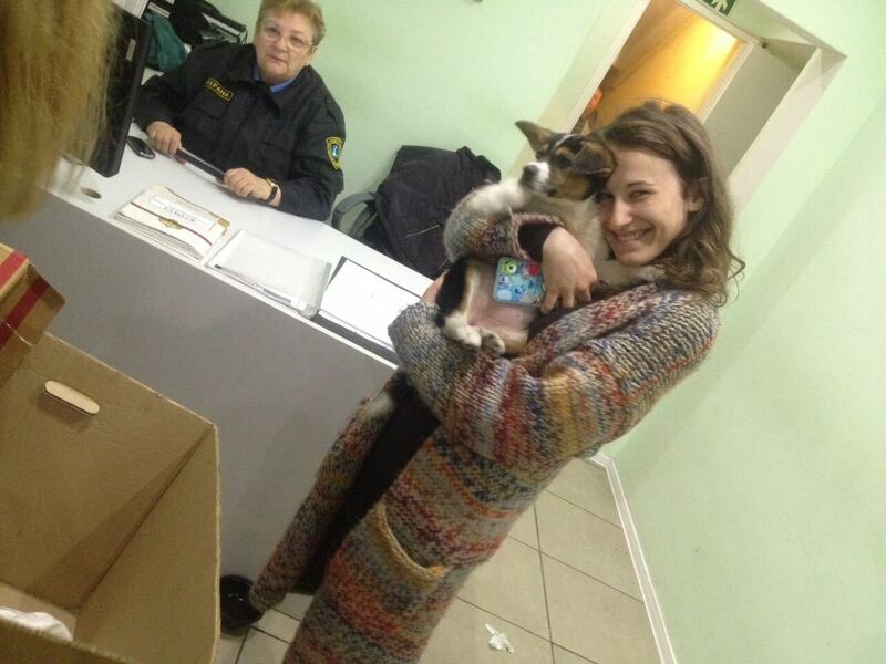 Счастливая собака Найда с новой хозяйкой