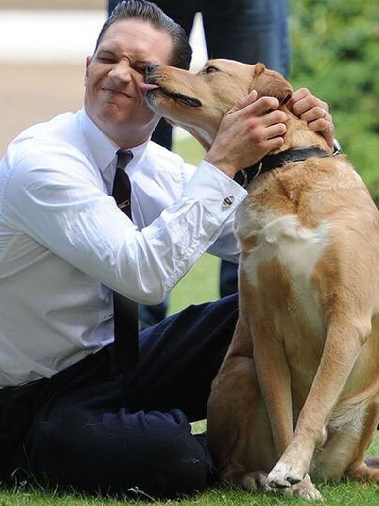 Вуди был стал настоящей звездой Голливуда, как его хозяин