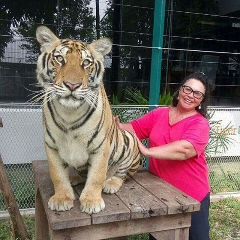 Поклонники не признали звезду
