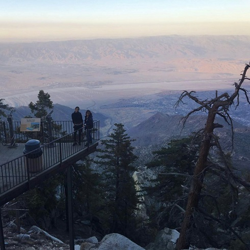 Женшины наслаждаются природой и обществом друг друга