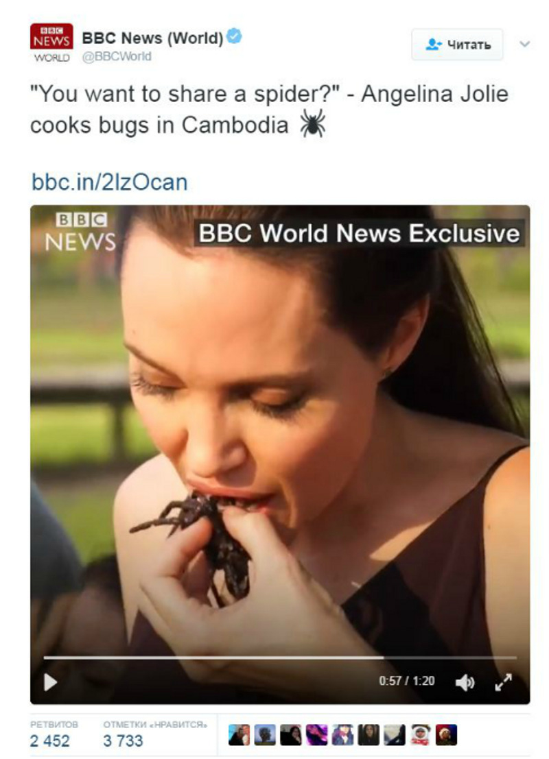 Анджелина ест паука