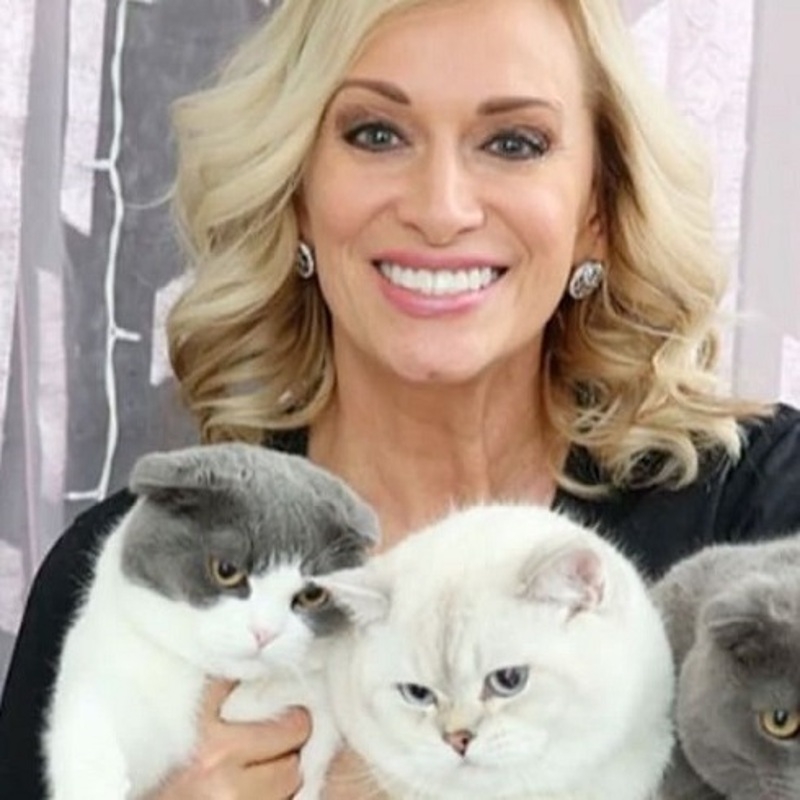 Букет котов Наталии Гулькиной