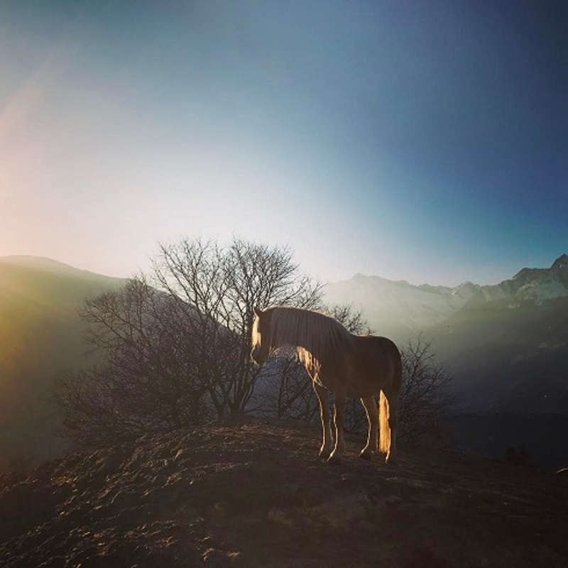 Собчак нашла "своих"