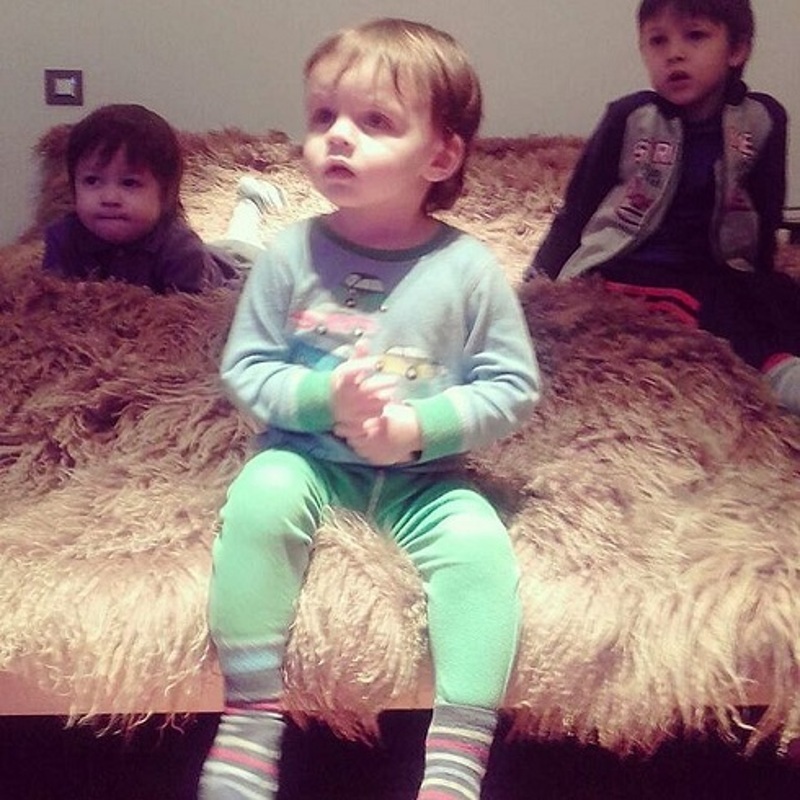 Сыновья Дибровых