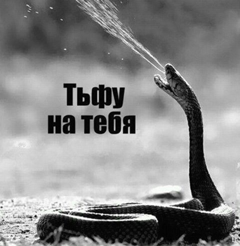 Ксения Бородина решила плюнуть на комментарии, компроментирующие ее мужа