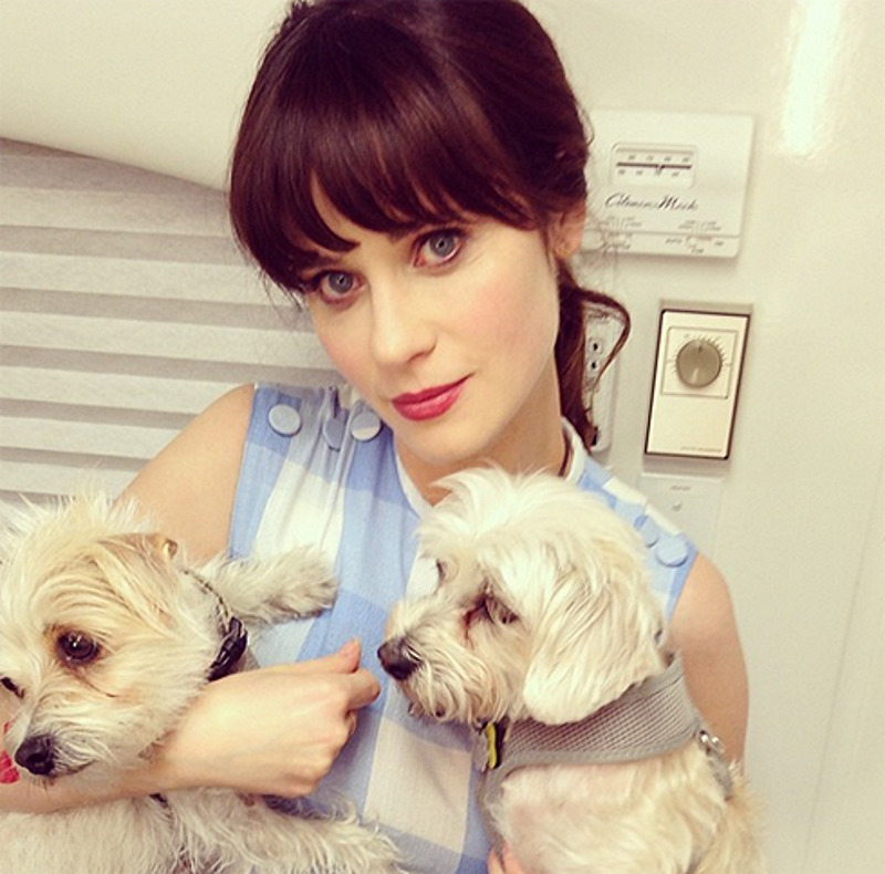 Зоуи Дешанель одержима всевозможным способам экономии