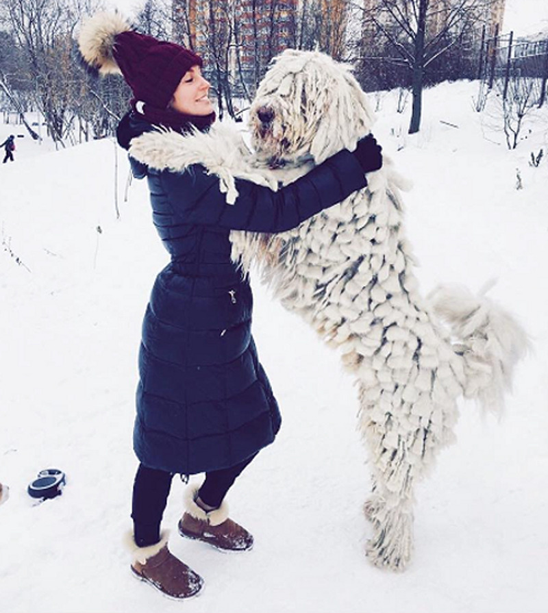 Саша Савельева показала нового питомца