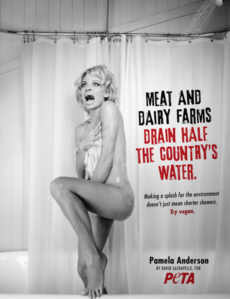 Памела Андерсон