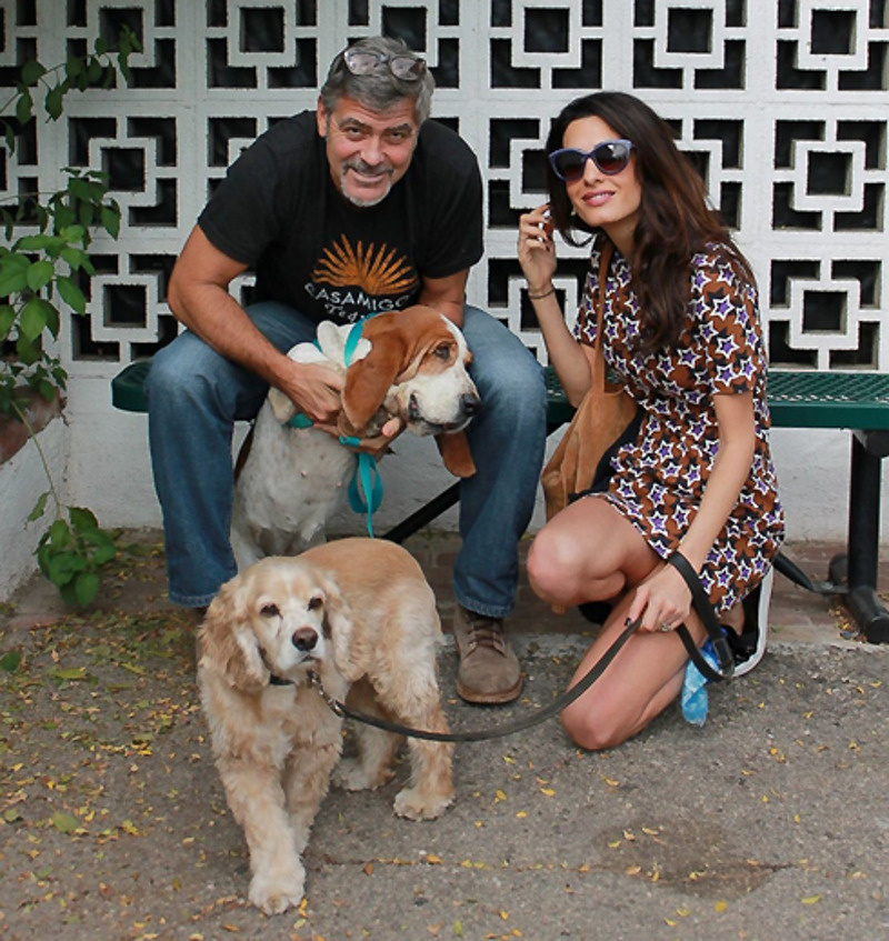 Джордж и Амаль Клуни