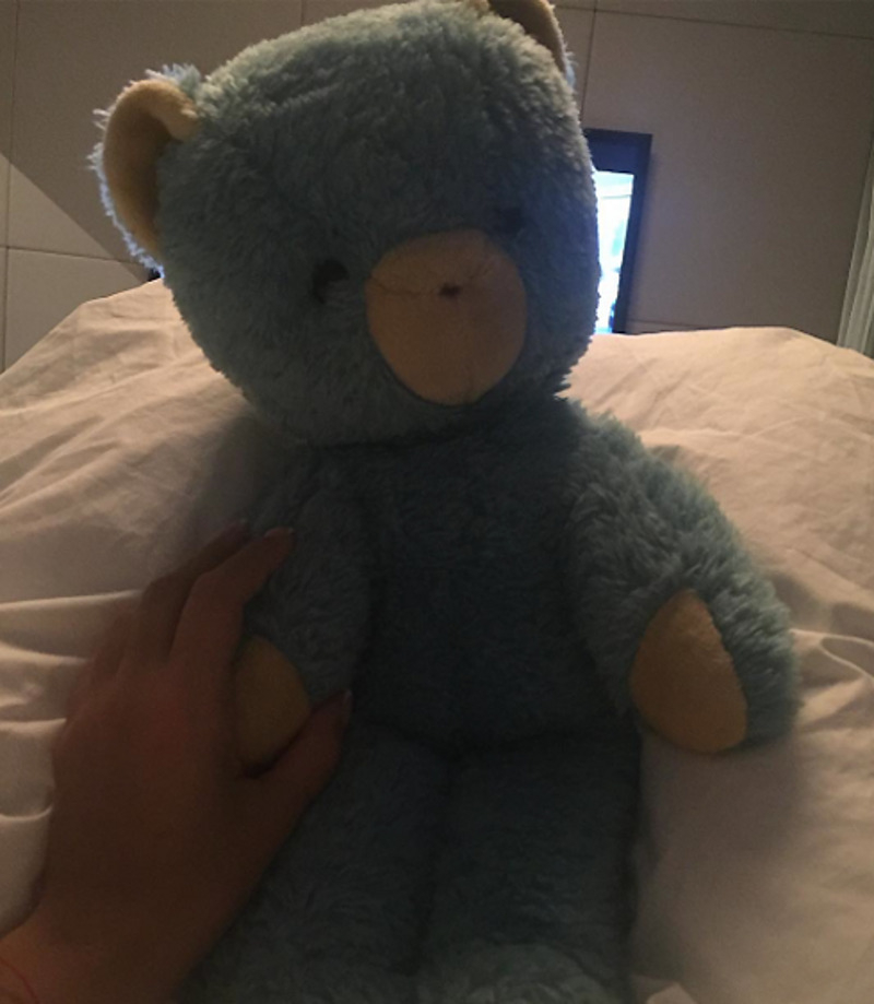 Тот самый голубой мишка, которому Елена доверяет свои тайны