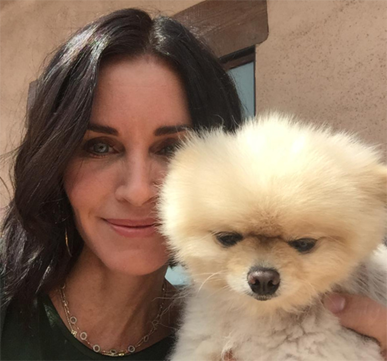 Кортни Кокс