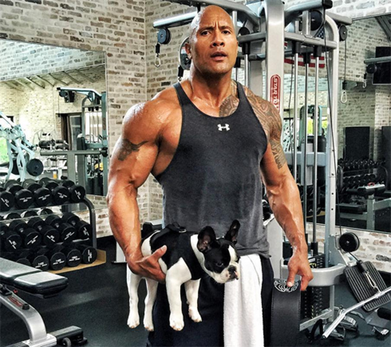 Дуэйн Джонсон