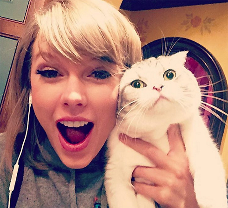 Тейлор Свифт