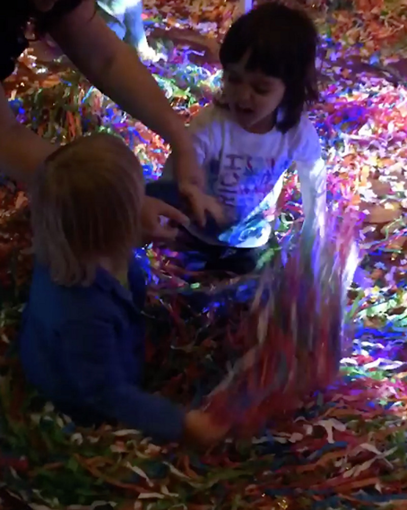 Дерущихся Киркорова и Плющенко разнимают взрослые