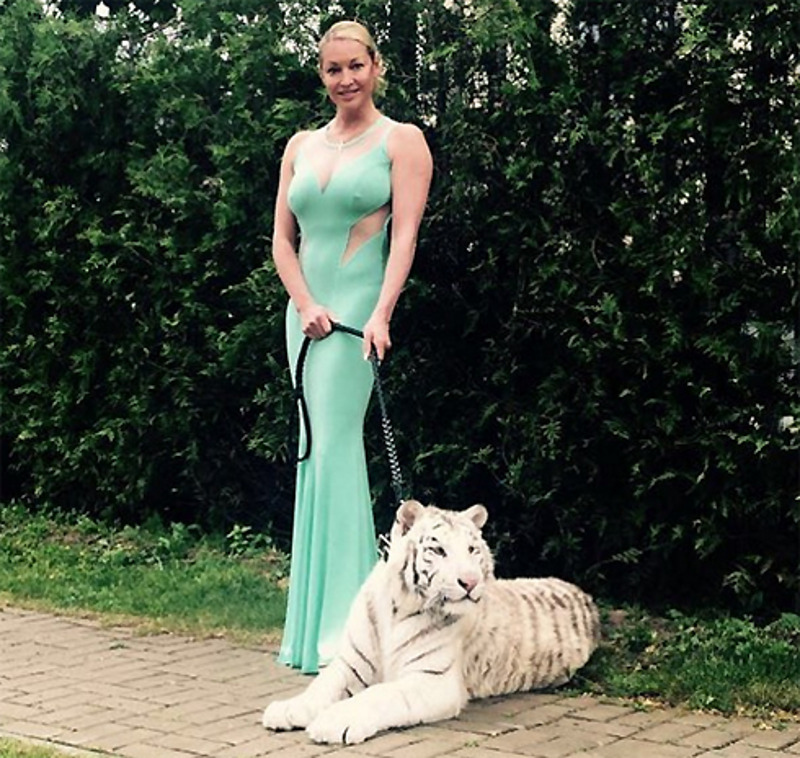 Волочкова не побоялась тигра