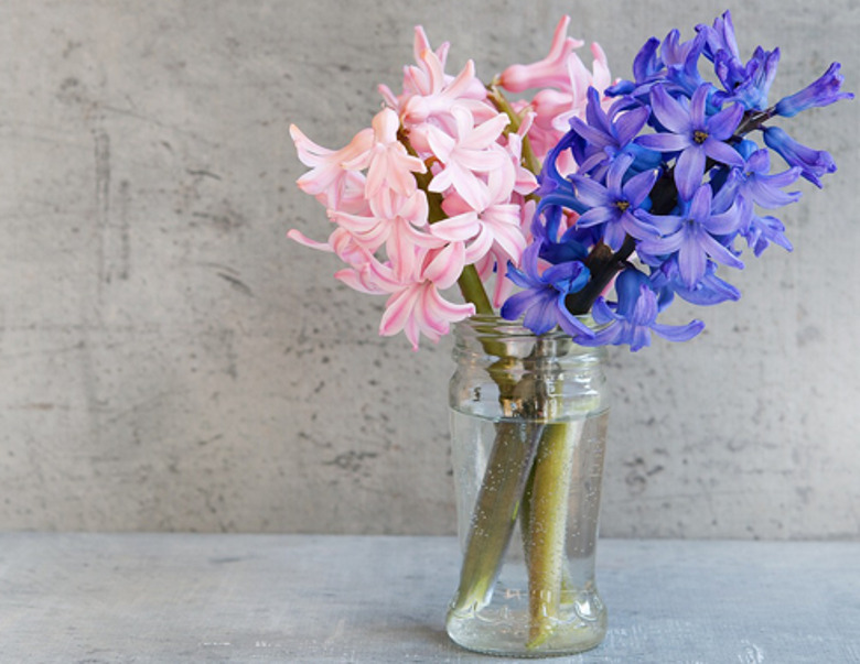 Самые популярные ароматы с первоцветами