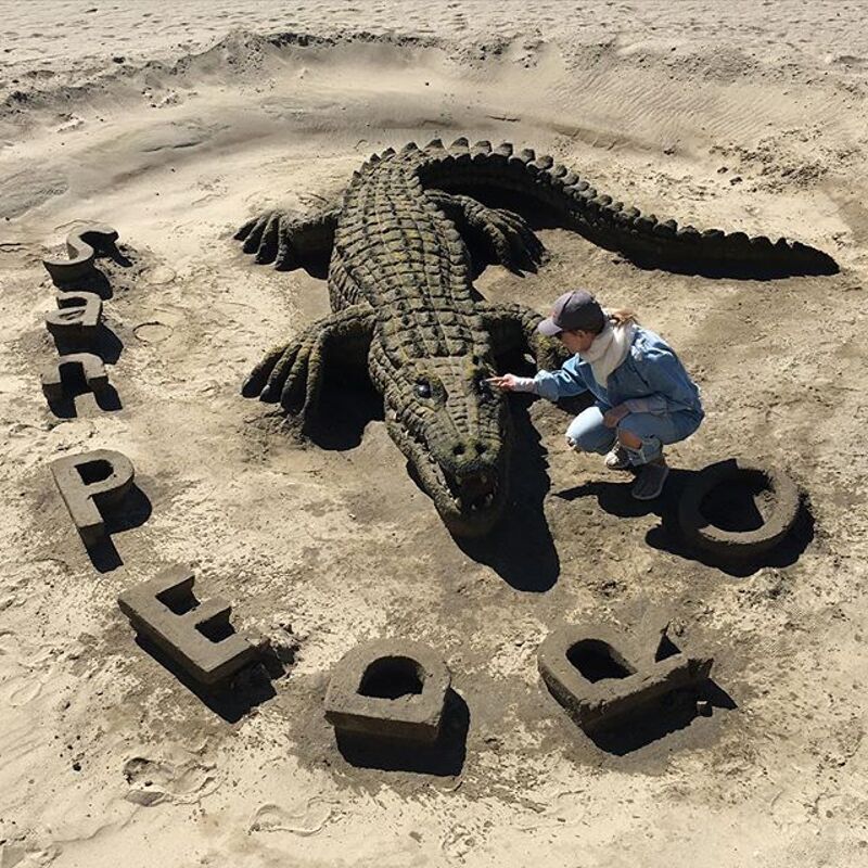 Собчак предложила сделать сумку из этого крокодила