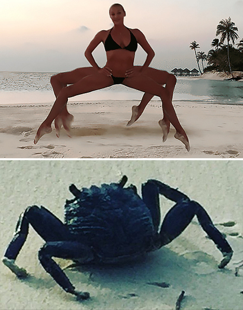 Волочкова опубликовала снимок краба, который похож на известную видеожабу