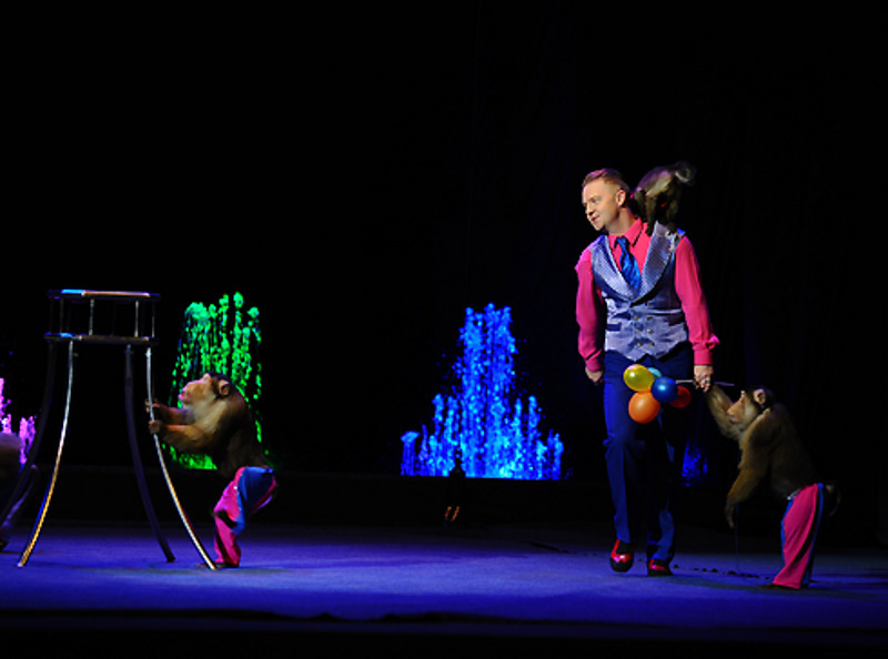 Андрей Теплыгин делится советами по дрессировке обезьян