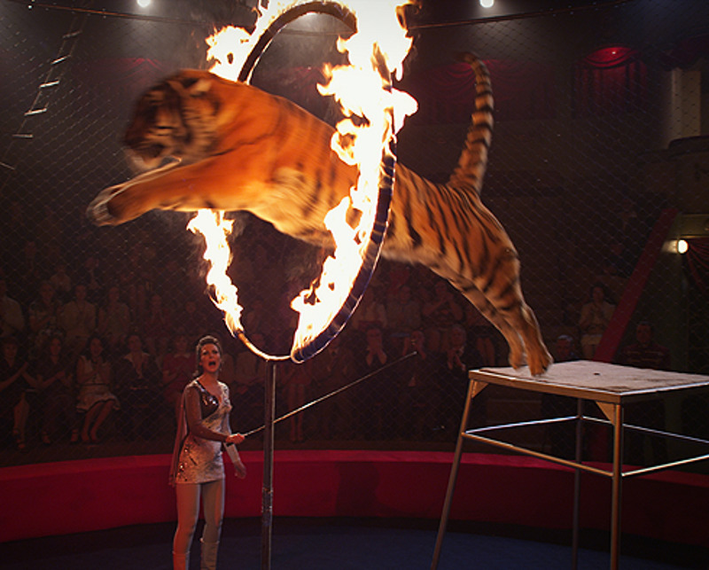 Все трюки аткеры сериала выполняли без дублеров