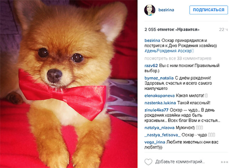 Дома именинницу ждал пес Оскар