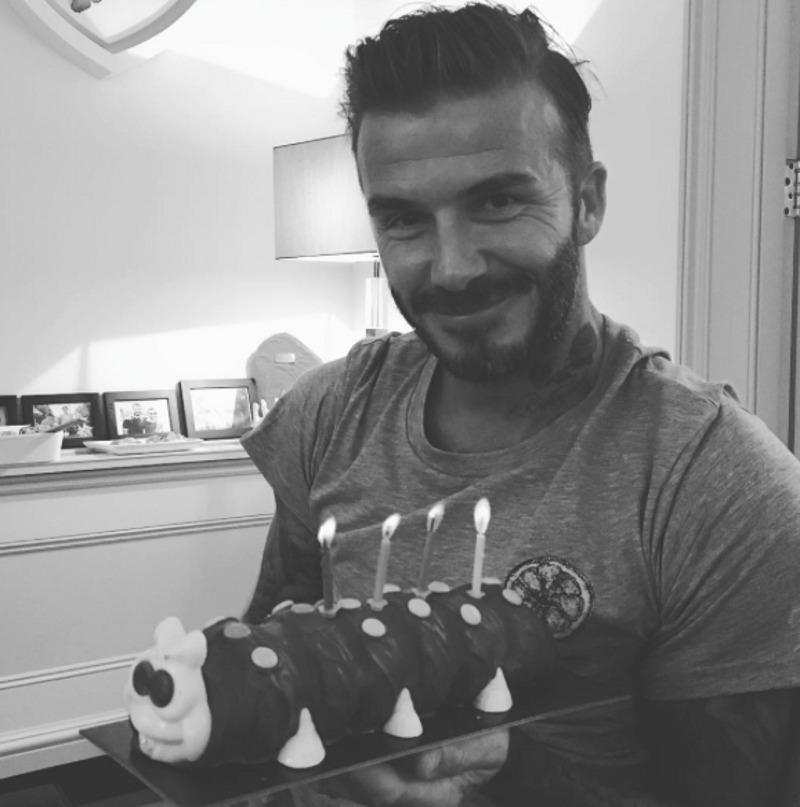 Дети подарили Дэвиду торт в виде гусеницы