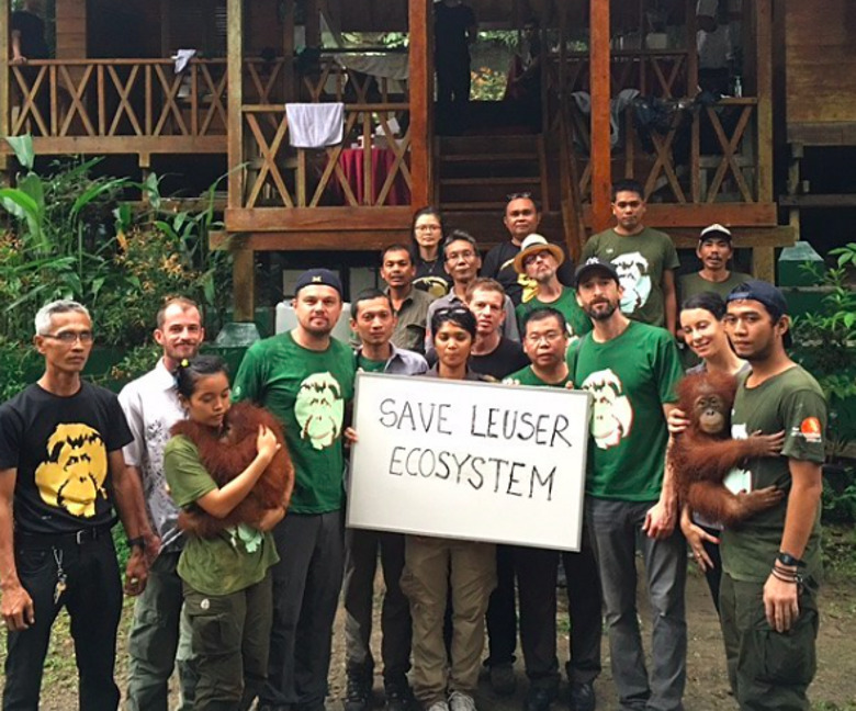 Актер призвал сохранить уникальную экосистему Суматры