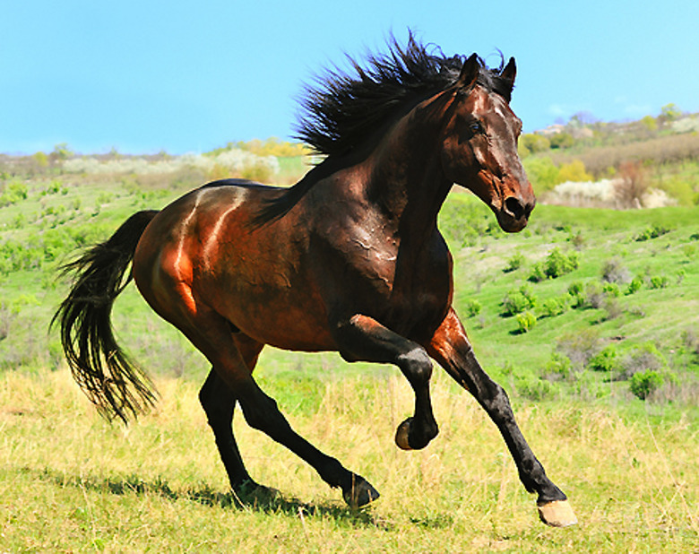 Жизнь - это приключение или страдание?