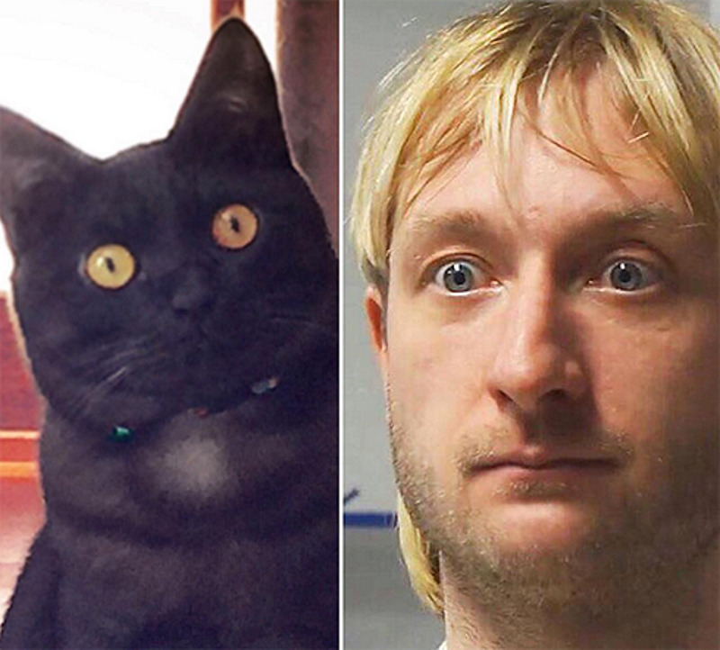 «Вот такие были у меня глаза, когда огласили мои проблемы, остаюсь на неделю на починку в Израиле», - подписал Евгений снимок с коллажем