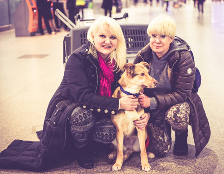 Маргарита Суханкина и Илона Броневицкая с собакой 