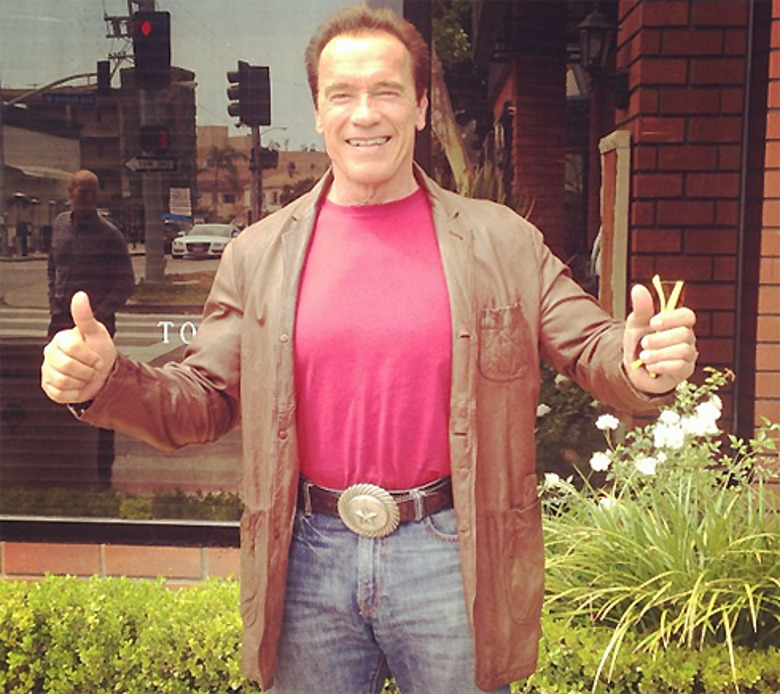 Арнольд Шварценеггер 