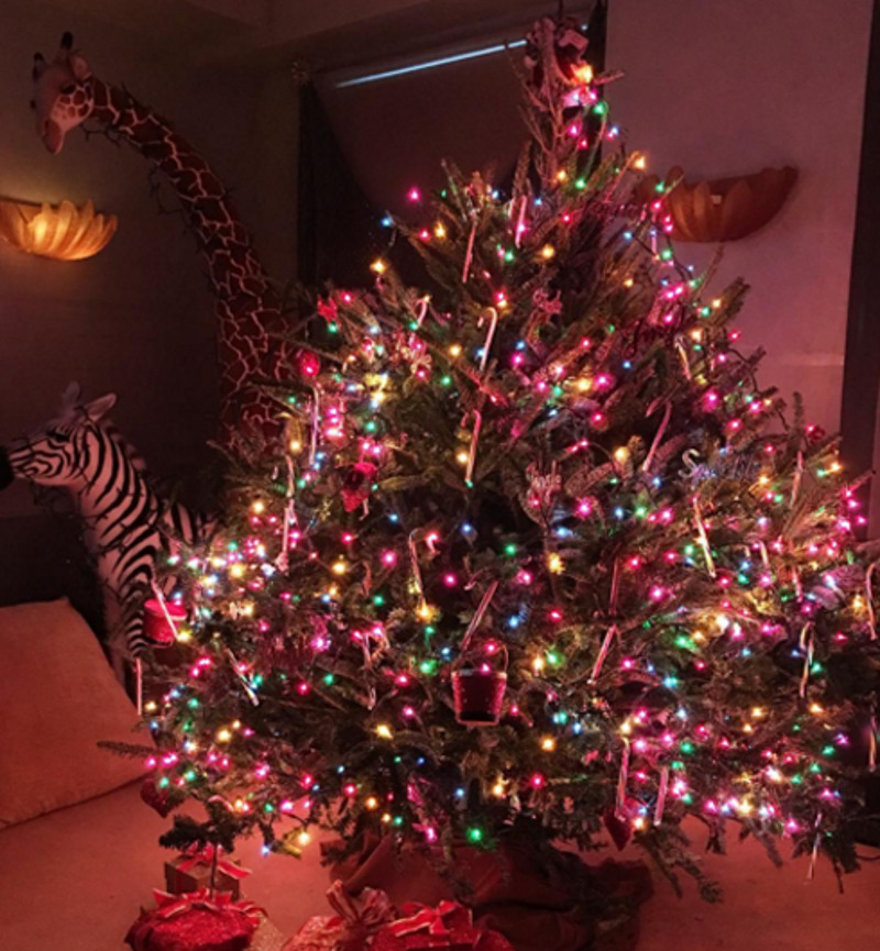 Елка Мэрайи Кэри