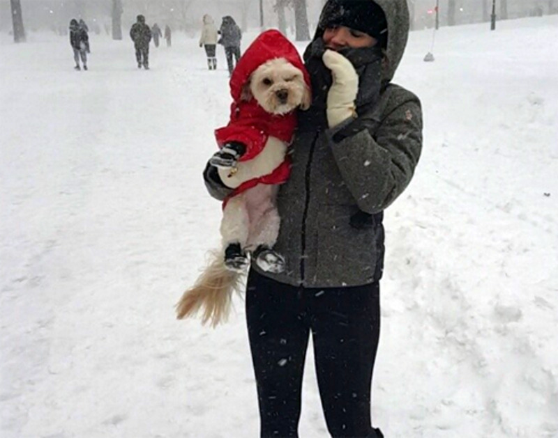 Джессика Честейн