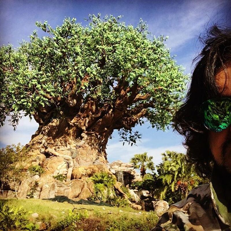 Филипп сфотографировался с самым большим дубом развлекательного комплекса