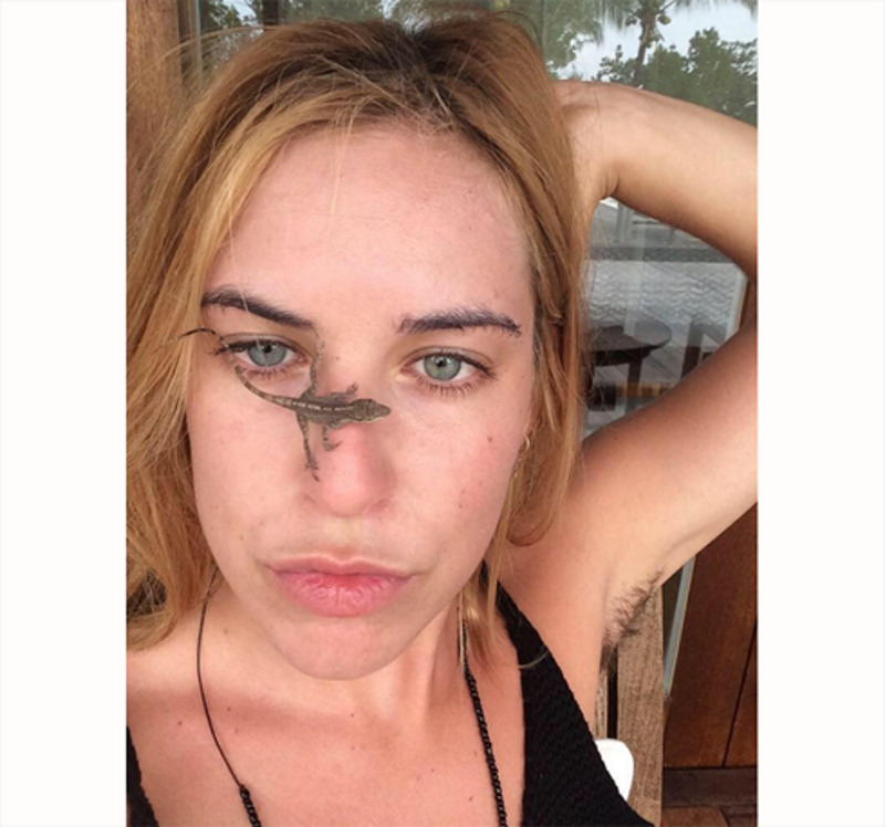 Cкаут Уиллис