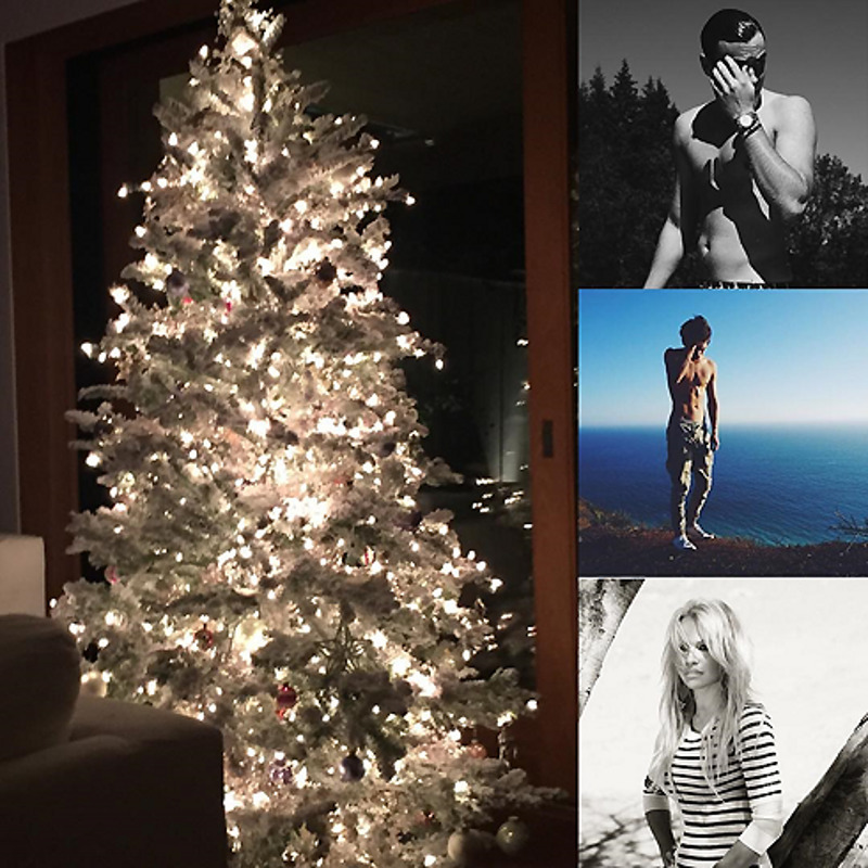 Памела Андерсон сделала елку белой и сверкающей